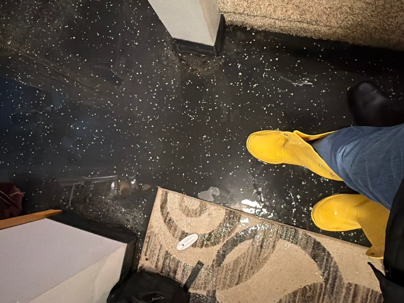 Flooded basement cleanup in Bridgewater Club, Hamilton County